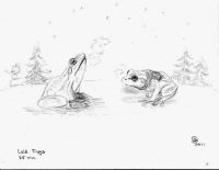 cold frogs (look like snow again)
